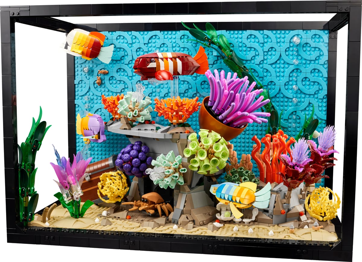 Icons : l’aquarium tropical