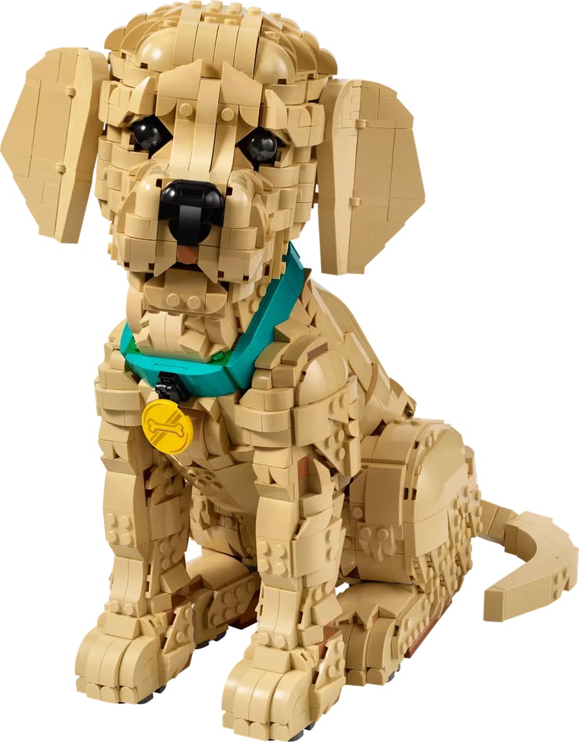 Le chiot golden retriever