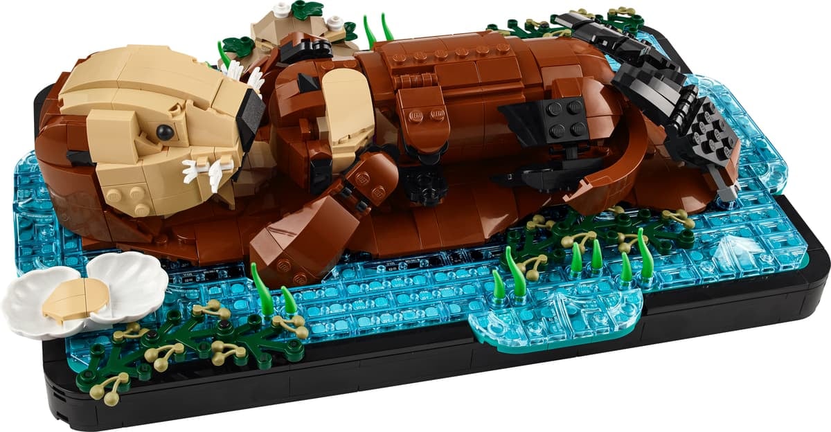 Ideas : les loutres de mer flottantes